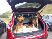 2017_11_01 Paco und Bella  01